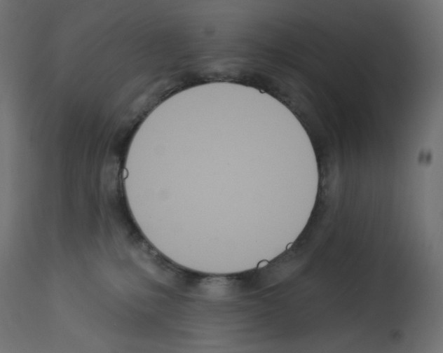 X0000112980231200910081117