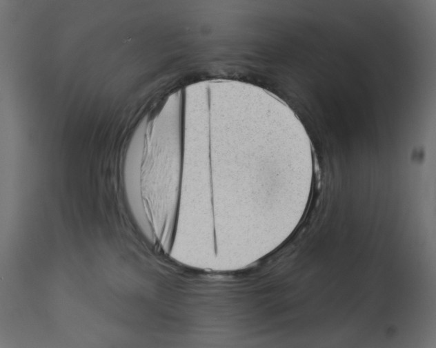X0000112980233200910081117