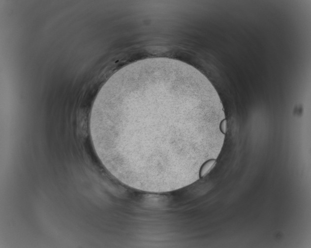 X0000112980234200910081117