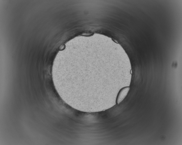 X0000112980236200910081117