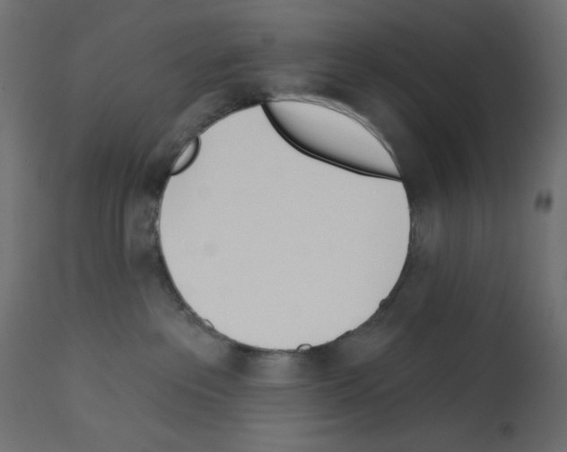 X0000112980237200910081117