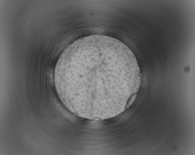X0000112980238200910081117