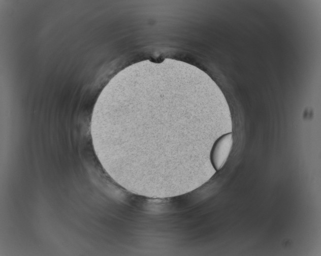 X0000112980240200910081117