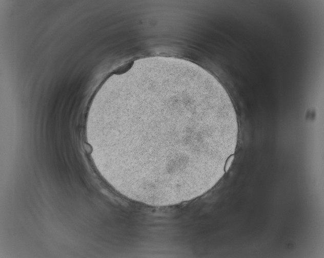 X0000112980241200910081116