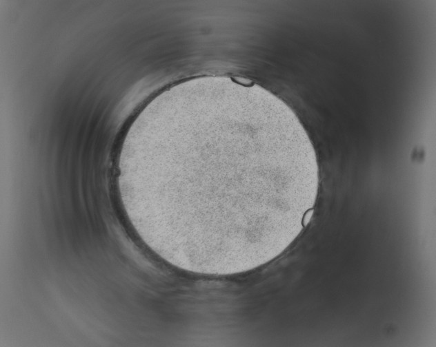 X0000112980242200910081116