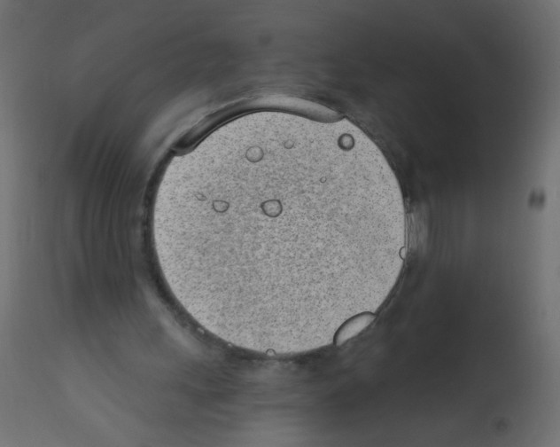 X0000112980243200910081116