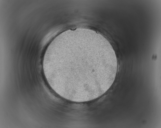 X0000112980245200910081116