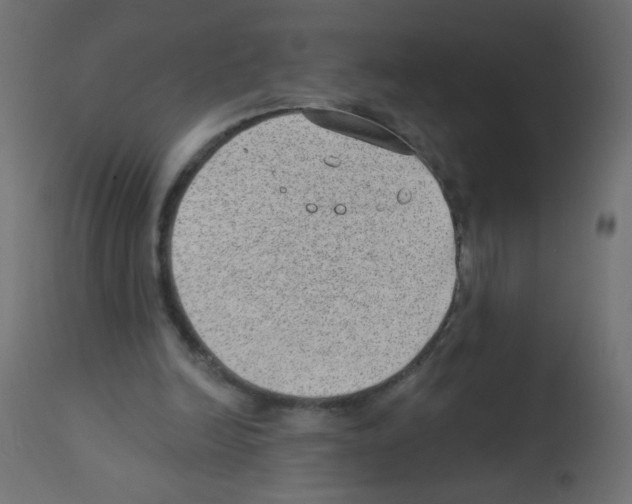 X0000112980246200910081116