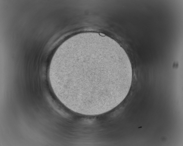 X0000112980247200910081116