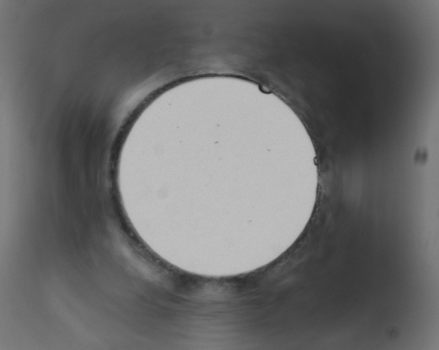 X0000112980248200910081116