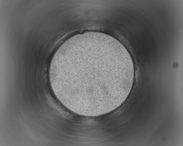 X0000112980249200910081116