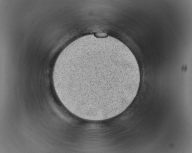 X0000112980250200910081116