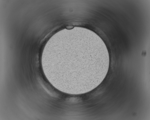 X0000112980251200910081116