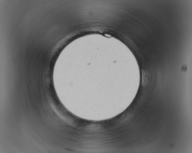 X0000112980252200910081116