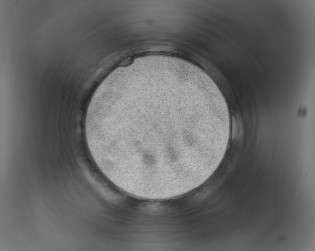 X0000112980253200910081116