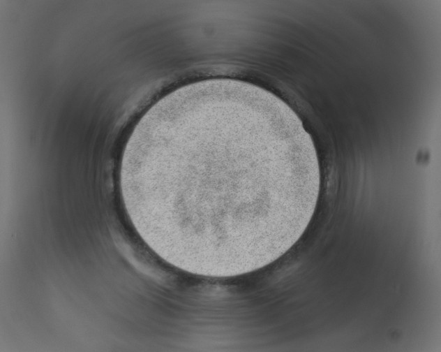 X0000112980254200910081116