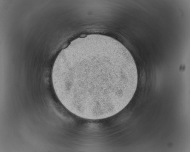 X0000112980255200910081116