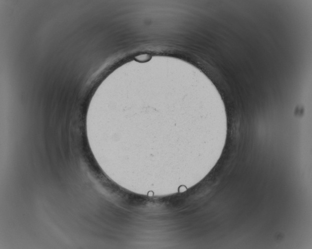 X0000112980256200910081116
