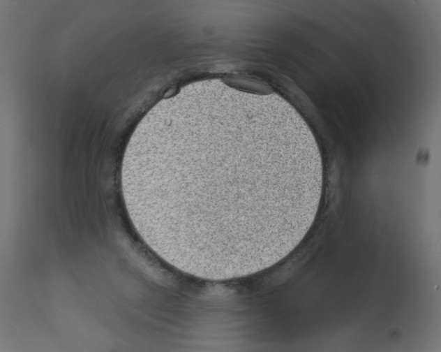 X0000112980257200910081116