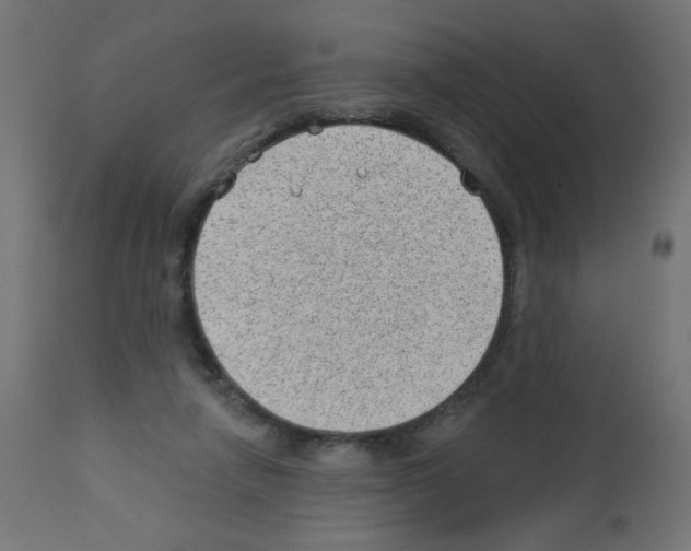 X0000112980258200910081116