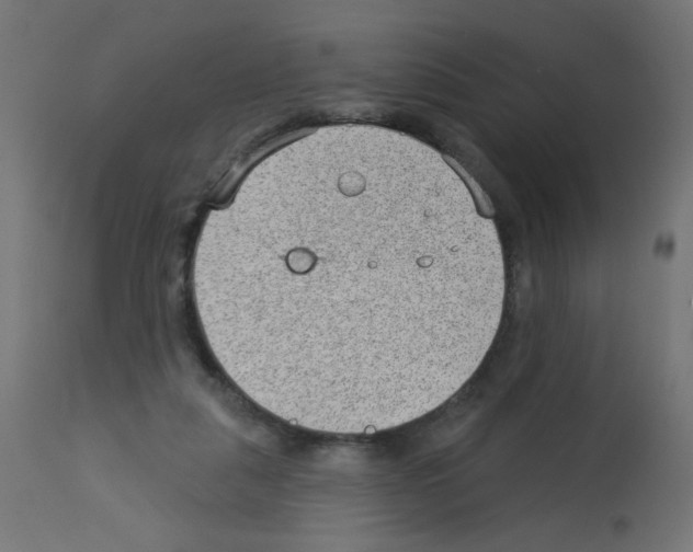 X0000112980259200910081116