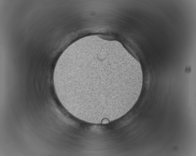 X0000112980261200910081117