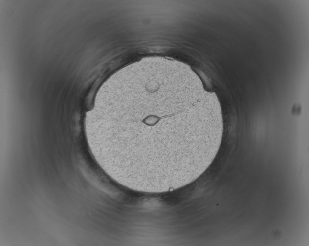 X0000112980262200910081117