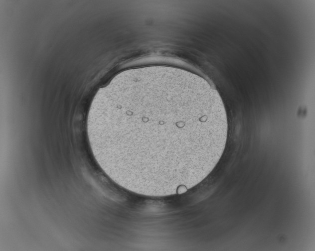 X0000112980263200910081117