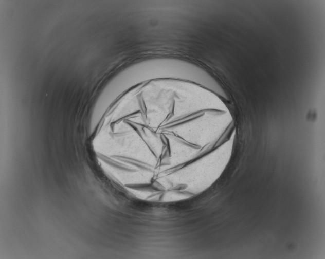 X0000112980264200910081117