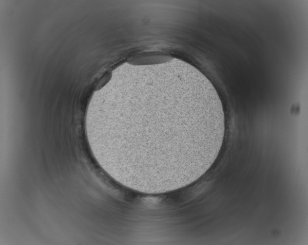 X0000112980265200910081117