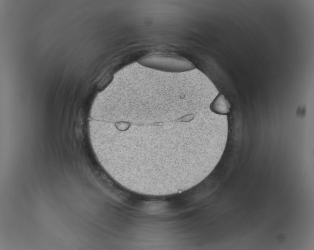 X0000112980266200910081117