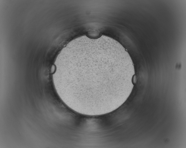 X0000112980268200910081117