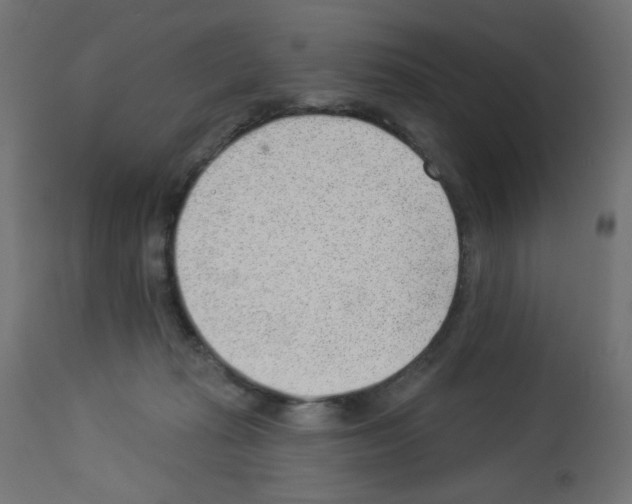 X0000112980269200910081117