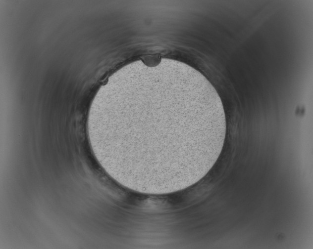 X0000112980270200910081117