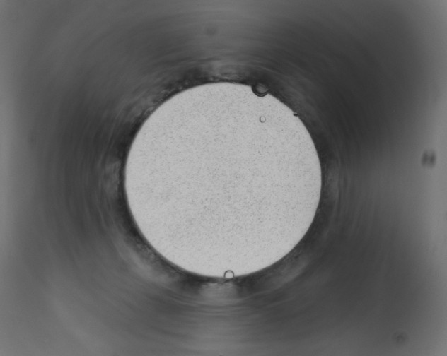 X0000112980271200910081117
