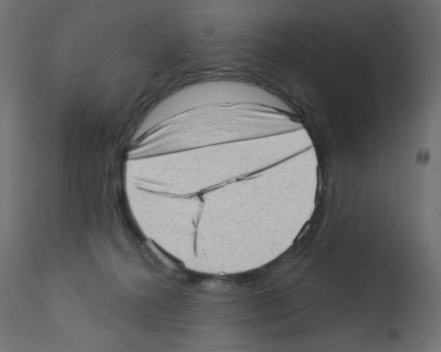 X0000112980272200910081117