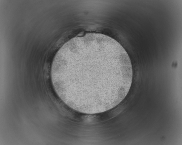 X0000112980273200910081117