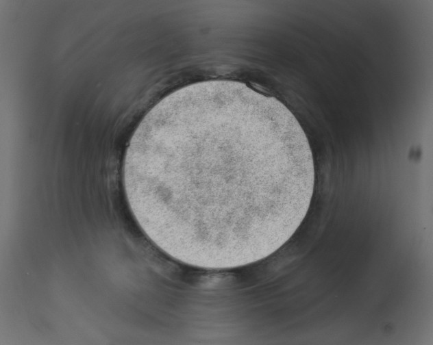 X0000112980274200910081117