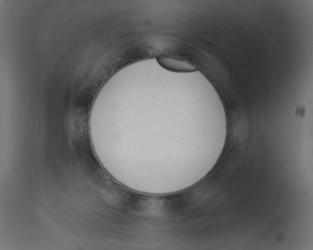 X0000112980276200910081117