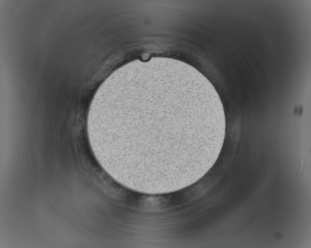 X0000112980277200910081117