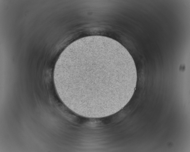 X0000112980278200910081117