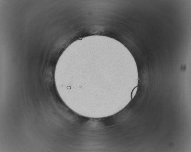 X0000112980280200910081117