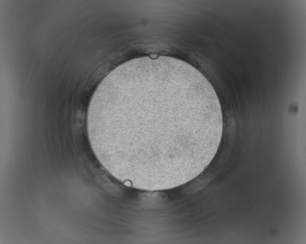 X0000112980281200910081117