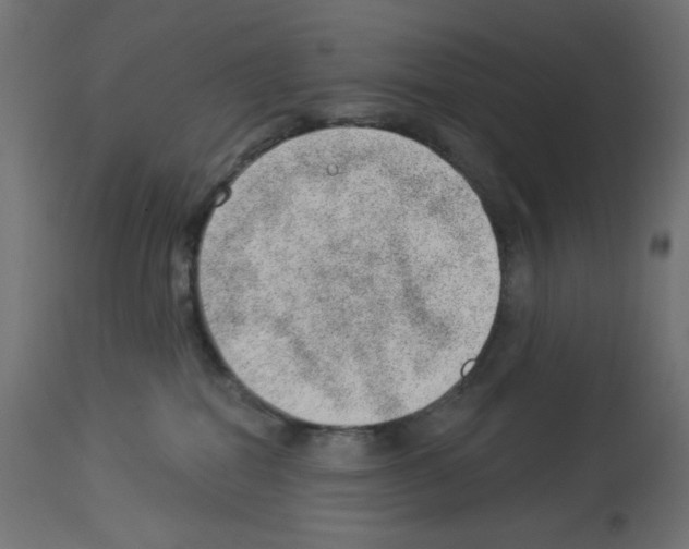 X0000112980282200910081117