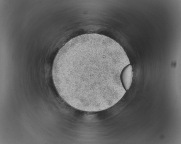 X0000112980283200910081117