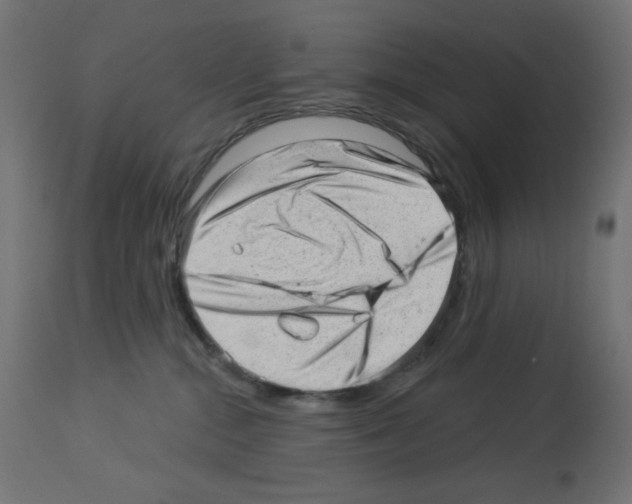 X0000112980284200910081117