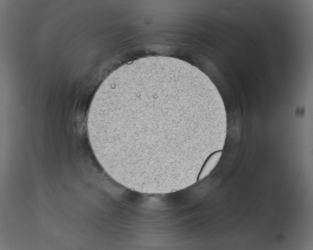 X0000112980285200910081117