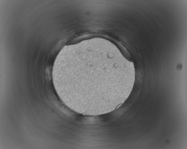 X0000112980286200910081117