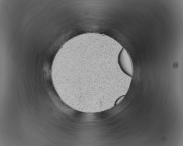 X0000112980287200910081117
