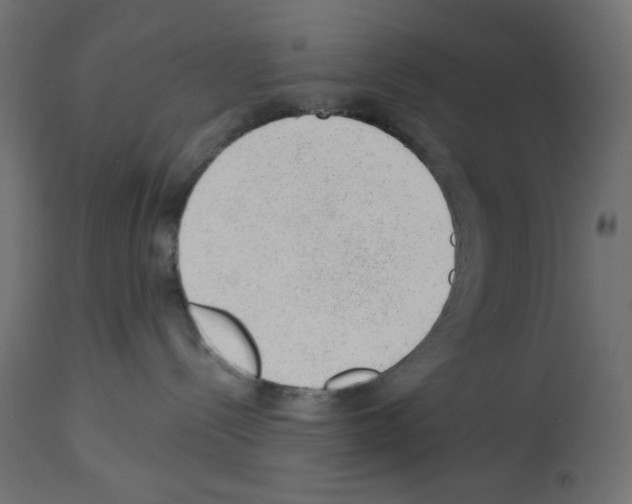 X0000112980288200910081117